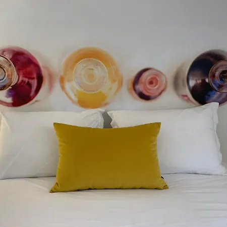 Pharmacia Guest house *