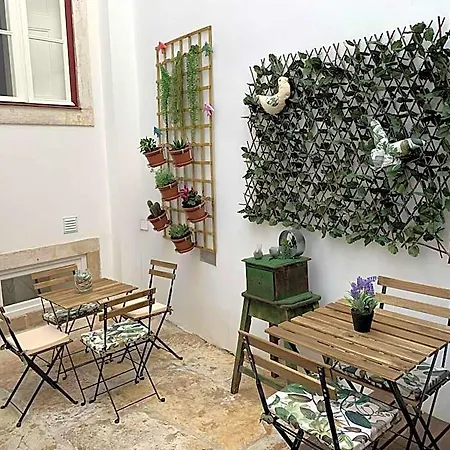 Pensjonat Pharmacia 4*